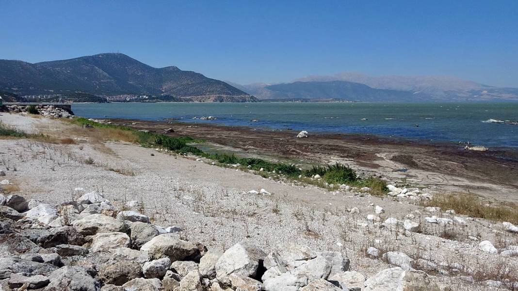 Eğirdir Gölü'nün bölünmesine 1 kilometre kaldı! Binlerce ölü su salyangozu karaya vurdu 14